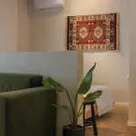 Muz Tirana