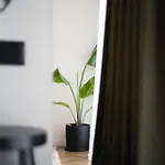 Muz Appartement