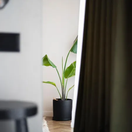 Muz Apartment